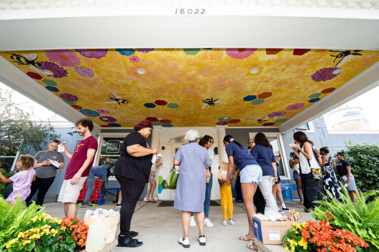 Los visitantes del Homewood Science Center se encuentran debajo de un mural con motivos de abejorros pintado en el techo del centro.