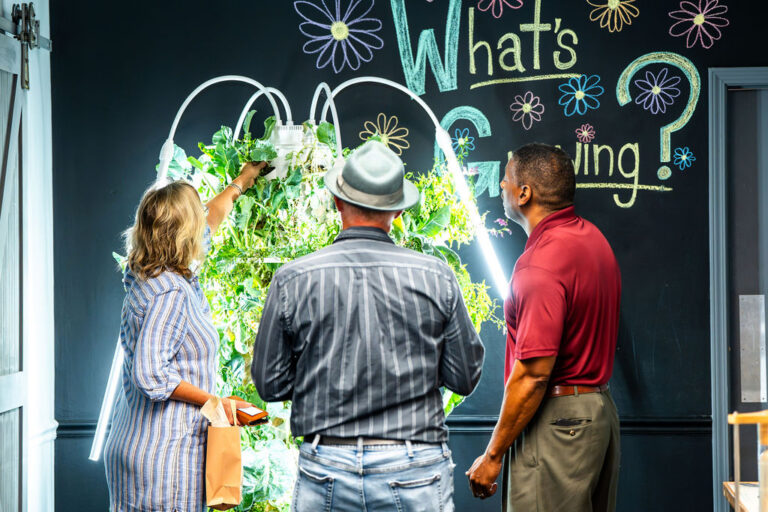 Los visitantes se encuentran frente a una exposición titulada «¿Qué está creciendo?», con una colorida vegetación.